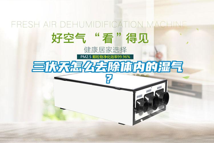三伏天怎么去除體內(nèi)的濕氣？