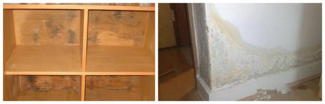 工業(yè)除濕機(jī)品牌十大排名(工業(yè)除濕機(jī)什么品牌好)