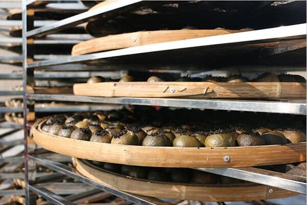 安慶除濕機(jī) 安慶除濕機(jī) 安慶除濕機(jī)