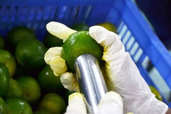 工業(yè)除濕機在各個領域的合理運用