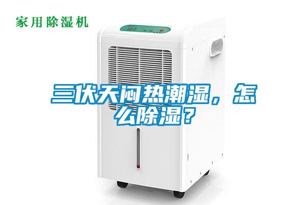 三伏天悶熱潮濕，怎么除濕？