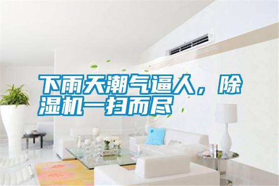 下雨天潮氣逼人，除濕機(jī)一掃而盡