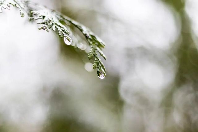 墻面出現(xiàn)水漬怎么辦？墻面防潮全解