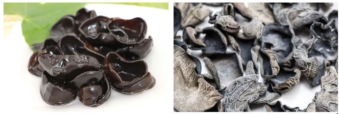 屋頂式風(fēng)冷冷風(fēng)型恒溫恒濕空調(diào)機組的設(shè)計