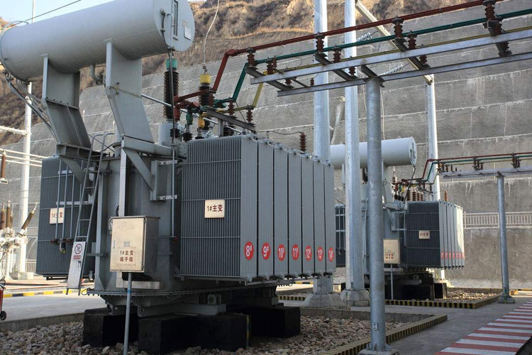 工廠需要除濕機(jī)之玫瑰花烘干機(jī)與烘干房的配型！