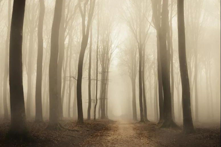 廠家分享該怎么保養(yǎng)轉(zhuǎn)輪除濕機(jī)設(shè)備！