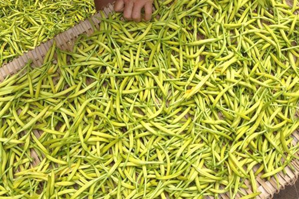 博物館文物恒溫恒濕儲(chǔ)藏柜