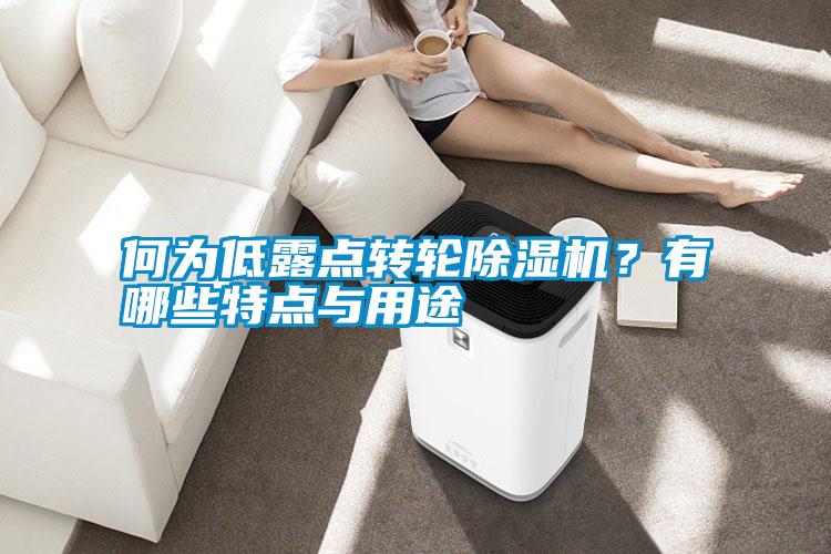 何為低露點轉(zhuǎn)輪除濕機？有哪些特點與用途