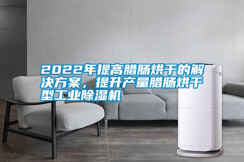2022年提高臘腸烘干的解決方案，提升產量臘腸烘干型工業(yè)除濕機