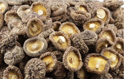 北京可程式恒溫恒濕試驗(yàn)箱 高低溫箱