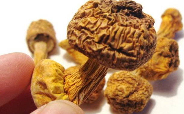 煙臺(tái)除濕機(jī)