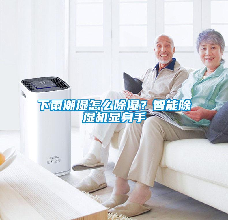 下雨潮濕怎么除濕？智能除濕機(jī)顯身手