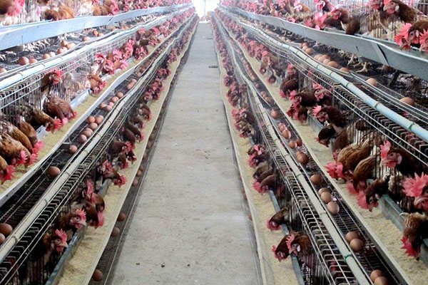 吸附式除濕機好嗎？