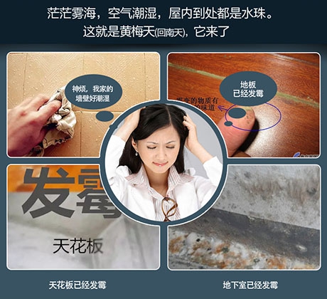 倉庫防潮用除濕機(jī)，解決倉庫潮濕難題