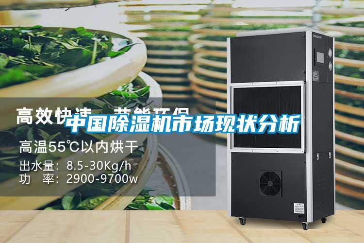 中國除濕機市場現狀分析