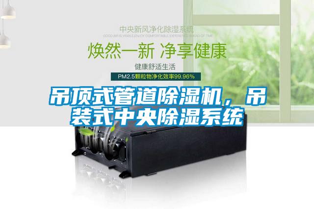 吊頂式管道除濕機(jī)，吊裝式中央除濕系統(tǒng)