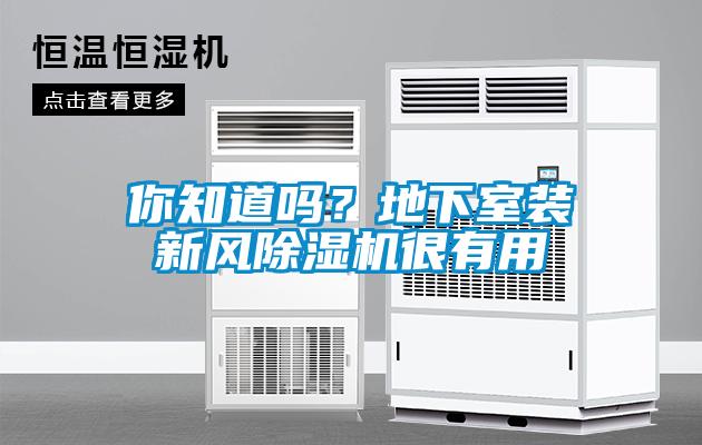 你知道嗎？地下室裝新風除濕機很有用