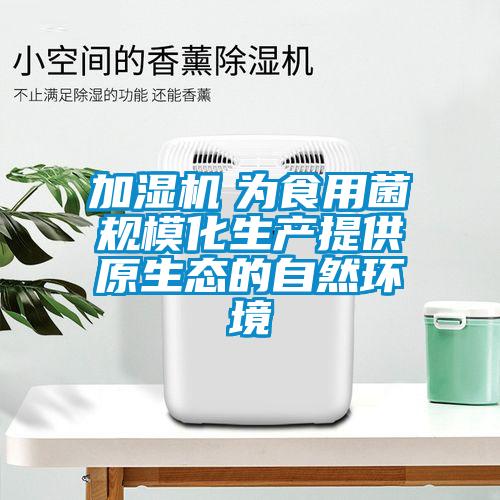 加濕機(jī)　為食用菌規(guī)?；a(chǎn)提供原生態(tài)的自然環(huán)境
