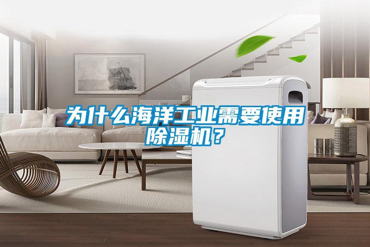 為什么海洋工業(yè)需要使用除濕機？