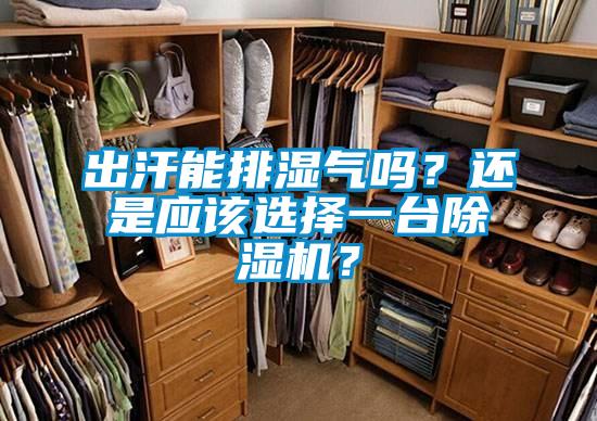 出汗能排濕氣嗎？還是應(yīng)該選擇一臺(tái)除濕機(jī)？