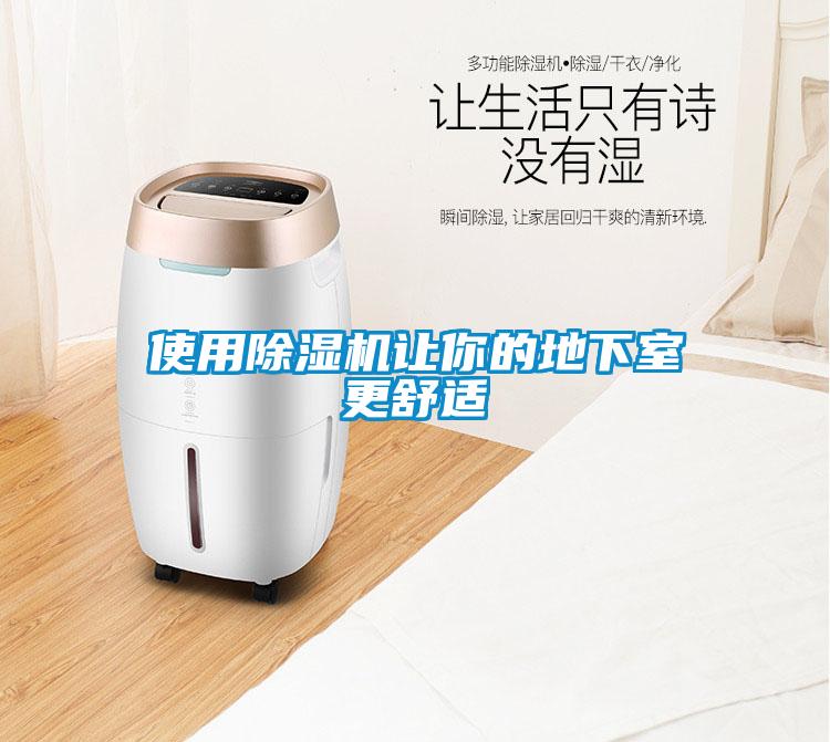 使用除濕機讓你的地下室更舒適