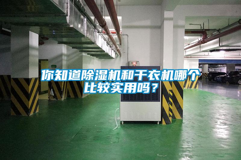 你知道除濕機(jī)和干衣機(jī)哪個(gè)比較實(shí)用嗎？