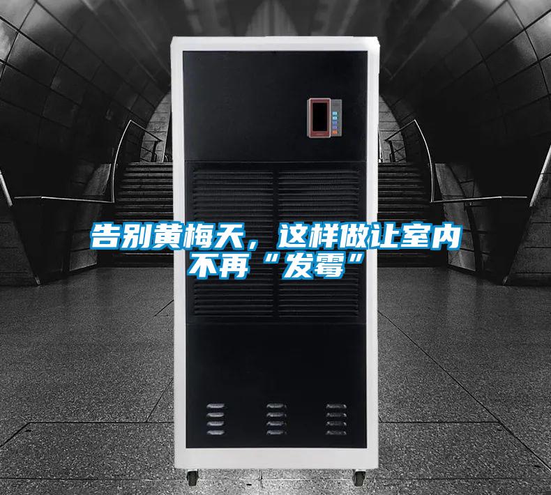 告別黃梅天，這樣做讓室內(nèi)不再“發(fā)霉”