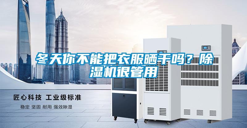 冬天你不能把衣服曬干嗎？除濕機(jī)很管用