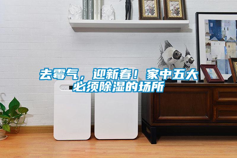 去霉氣，迎新春！家中五大必須除濕的場(chǎng)所