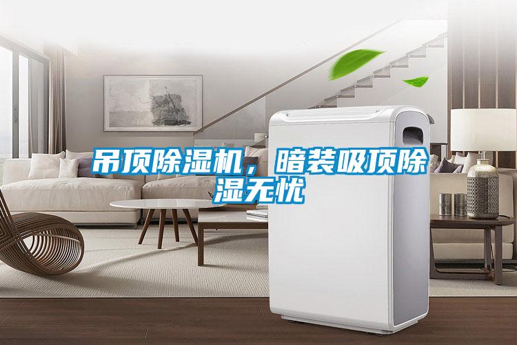 吊頂除濕機(jī)，暗裝吸頂除濕無憂