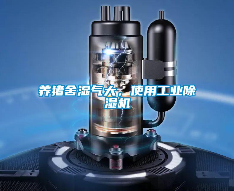 養(yǎng)豬舍濕氣大，使用工業(yè)除濕機(jī)