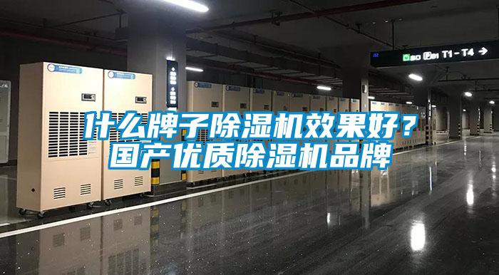 什么牌子除濕機(jī)效果好？國產(chǎn)優(yōu)質(zhì)除濕機(jī)品牌