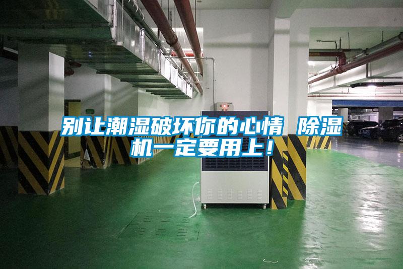 別讓潮濕破壞你的心情 除濕機(jī)一定要用上！