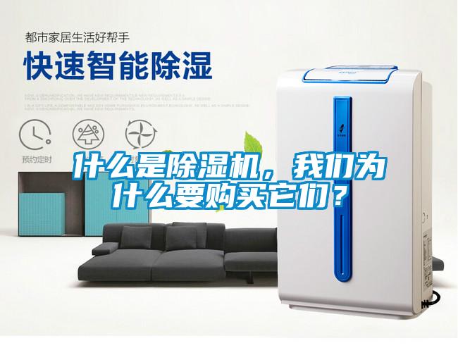 什么是除濕機(jī)，我們?yōu)槭裁匆?gòu)買(mǎi)它們？