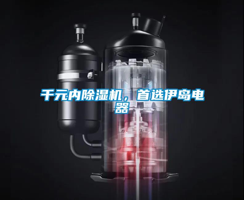 千元內除濕機，首選伊島電器