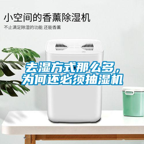 去濕方式那么多，為何還必須抽濕機