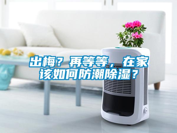 出梅？再等等，在家該如何防潮除濕？