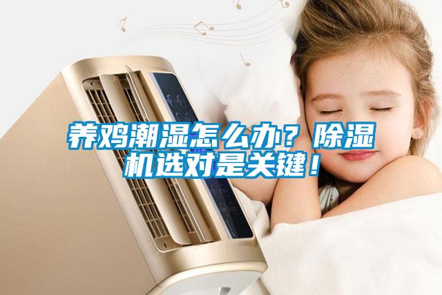 養(yǎng)雞潮濕怎么辦？除濕機選對是關鍵！
