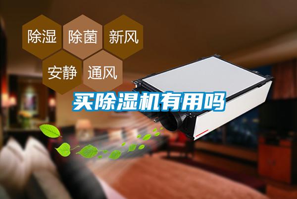 買除濕機有用嗎