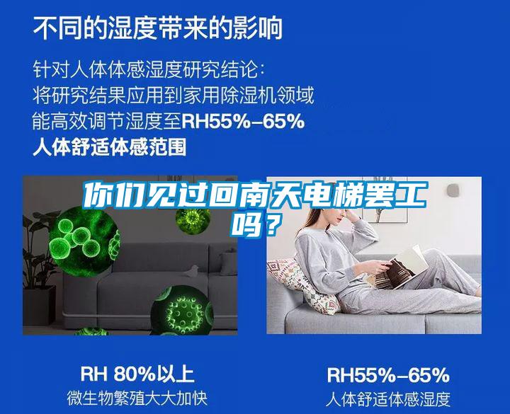 你們見過回南天電梯罷工嗎？