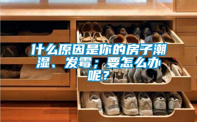 什么原因是你的房子潮濕、發(fā)霉；要怎么辦呢？