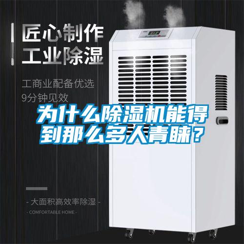 為什么除濕機能得到那么多人青睞？