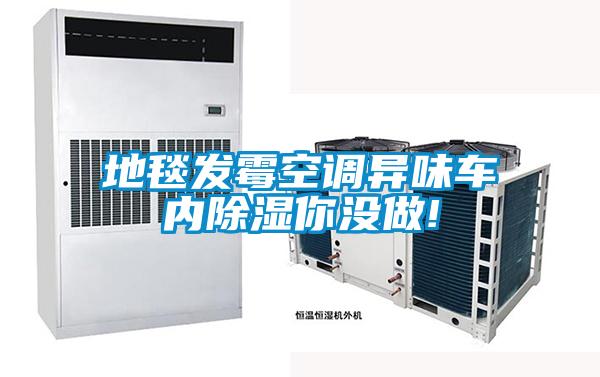 地毯發(fā)霉空調(diào)異味車內(nèi)除濕你沒(méi)做!