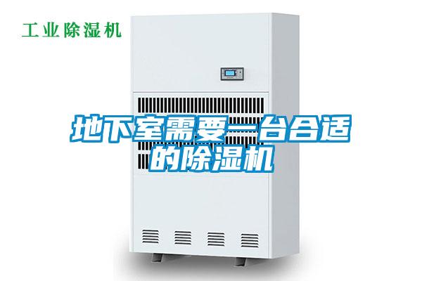 地下室需要一臺合適的除濕機(jī)