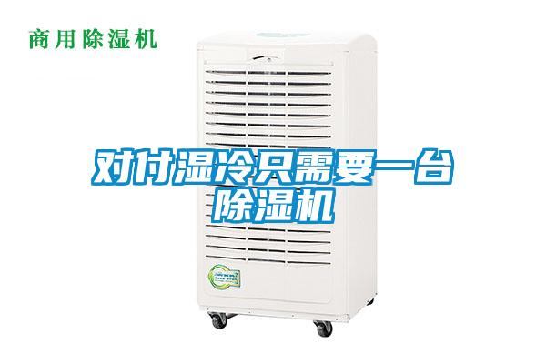 對(duì)付濕冷只需要一臺(tái)除濕機(jī)