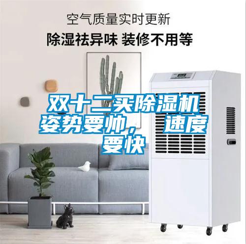 雙十二買除濕機(jī)姿勢要帥， 速度要快