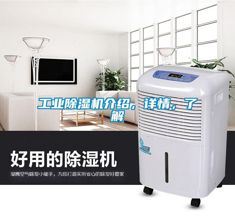 工業(yè)除濕機(jī)介紹，詳情，了解