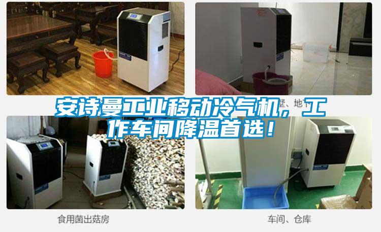 安詩(shī)曼工業(yè)移動(dòng)冷氣機(jī)，工作車間降溫首選！