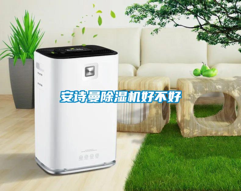 安詩曼除濕機(jī)好不好