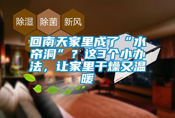 回南天家里成了“水簾洞”？這3個小辦法，讓家里干燥又溫暖